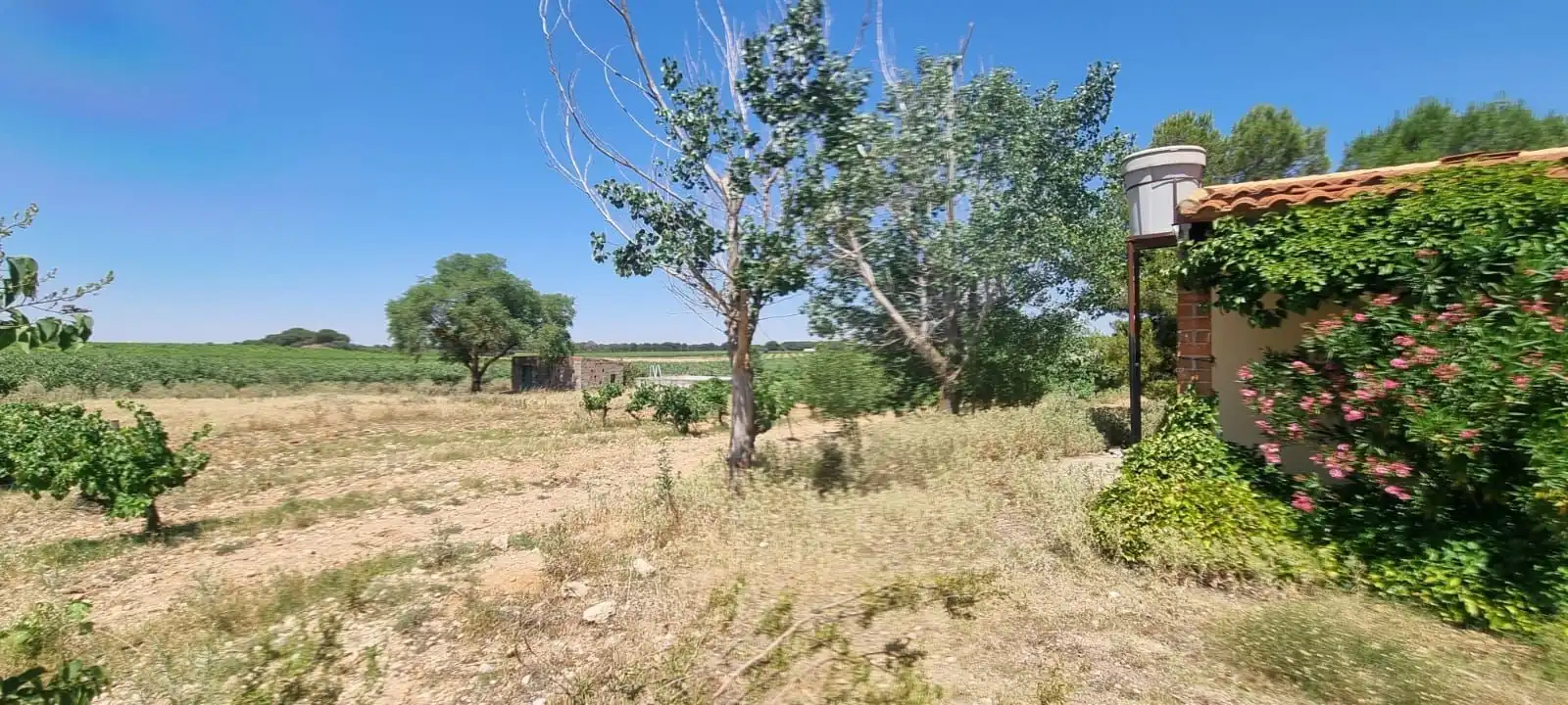 Casa rústica en venda a Villarrobledo, imagen 55