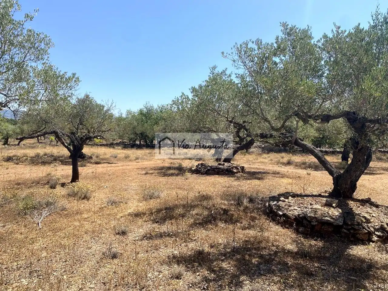 Terreno rustico in vendita a Bordes, imagen 7