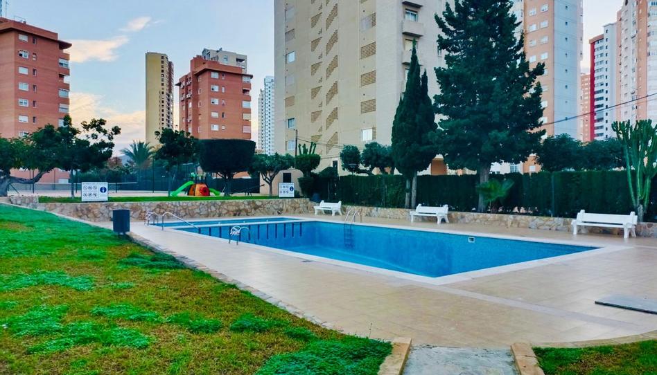 Foto 1 de Estudio en venta en Juzgados - Plaza de Toros, Alicante