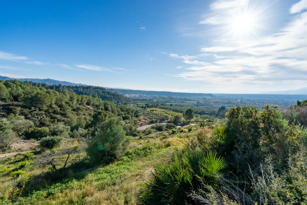 Terrain rustique à vendre à T-301 57, imagen 7