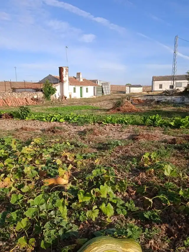 Grundstücke und Bauplätze zum Verkauf in Dos Torres, imagen 12