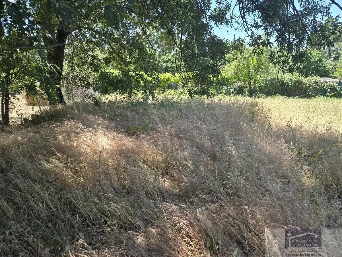 Finca rústica en venta en La Moraleja