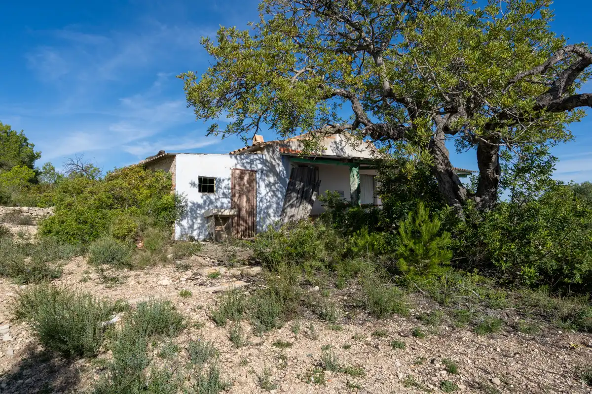 Terreno rustico in vendita a Carretera Nacional N-340 135, imagen 2