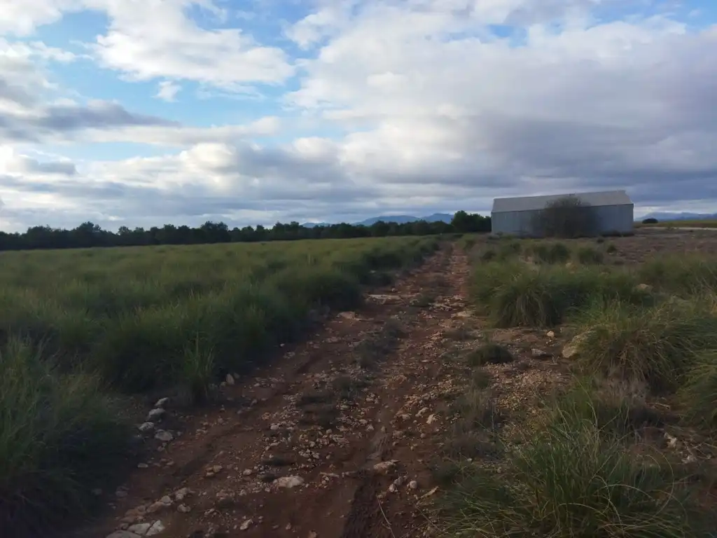 Rustikales Grundstück zum Verkauf in Lg Paraje Venta del Olivo, imagen 9