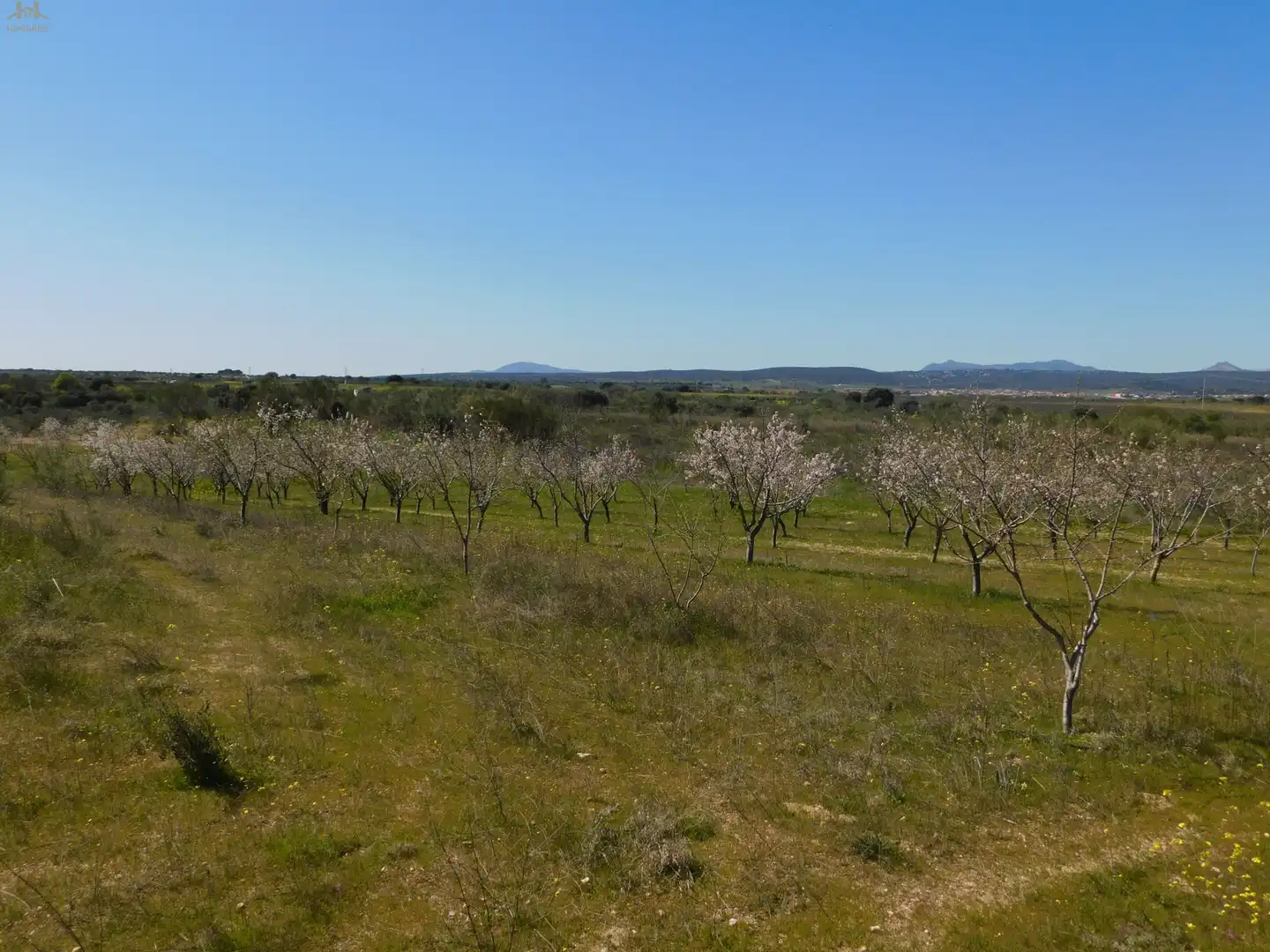Terreno en venta en Villa del Prado