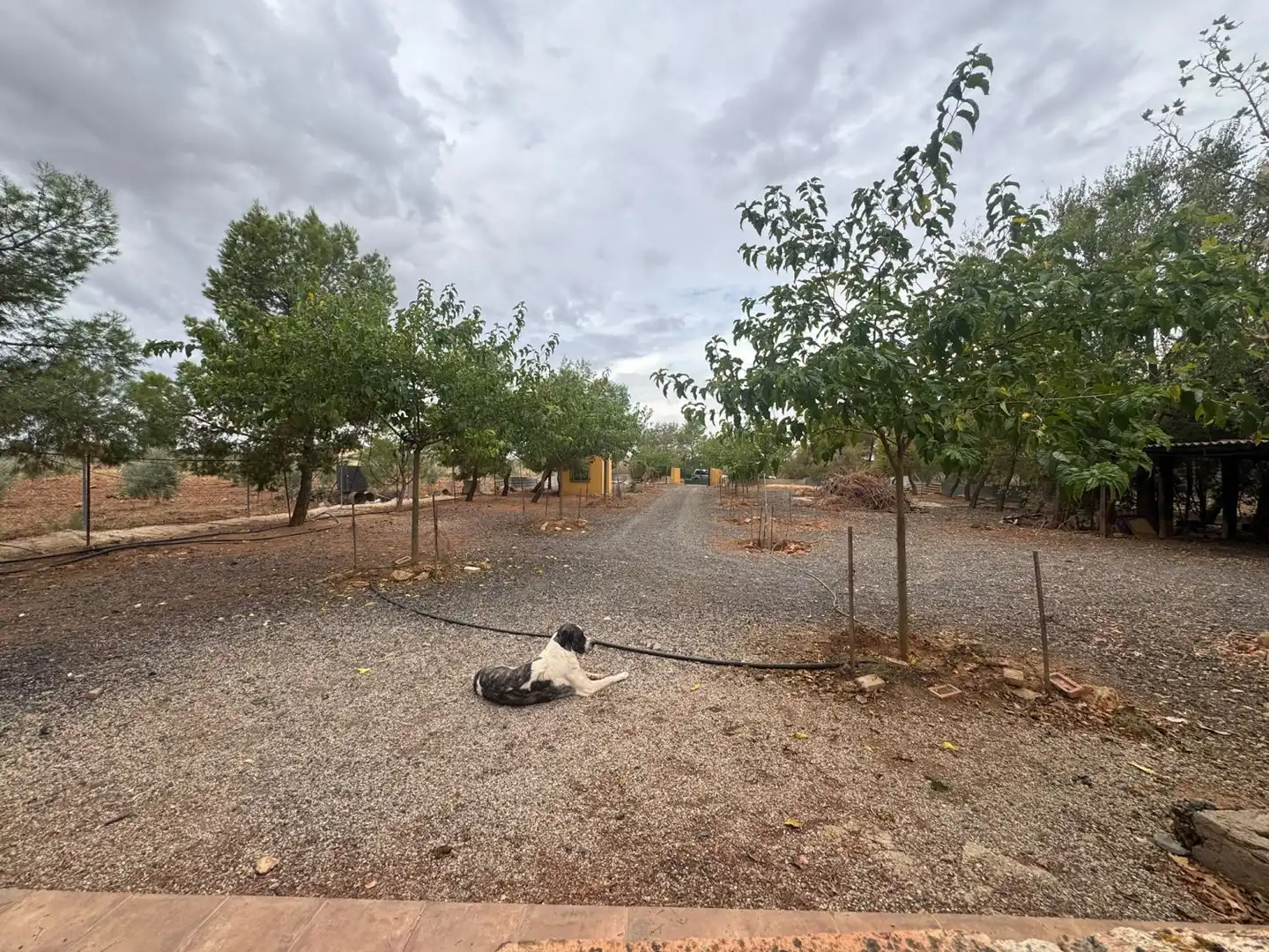 Landhaus zum Verkauf in Santa Cruz de Mudela, imagen 38