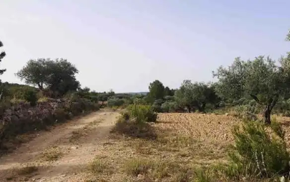 Rural land for sale in Partida Sacaras, imagen 8