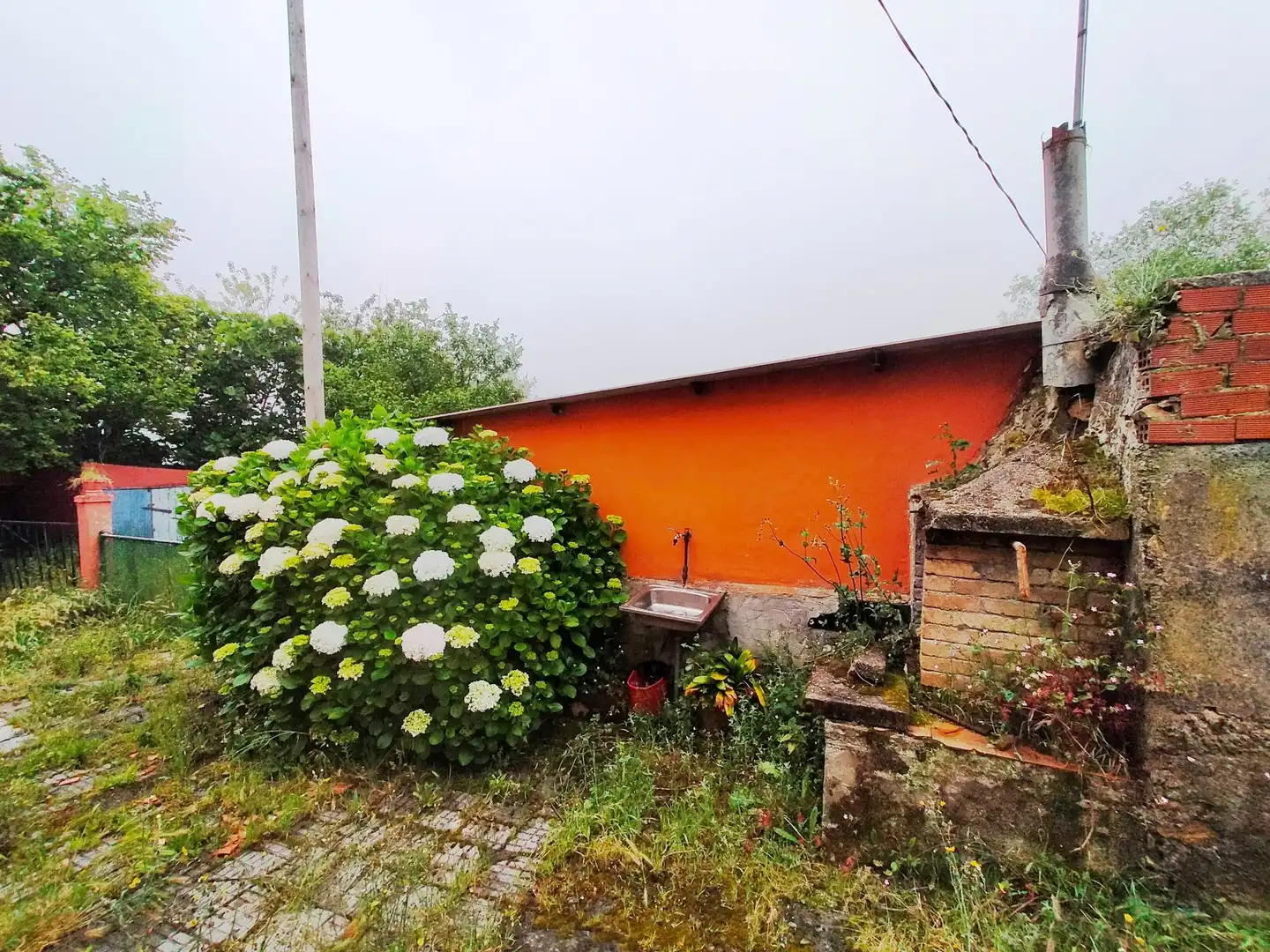 Jardín de Finca rústica en venta en Pravia con Jardín privado