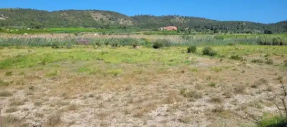 Land for sale in Real