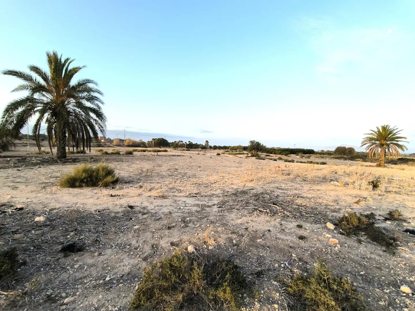 Terrain rustique à vendre à La Marina, imagen 7