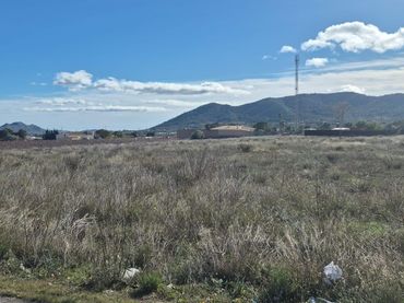 Terreny rústic en venda a La Romana