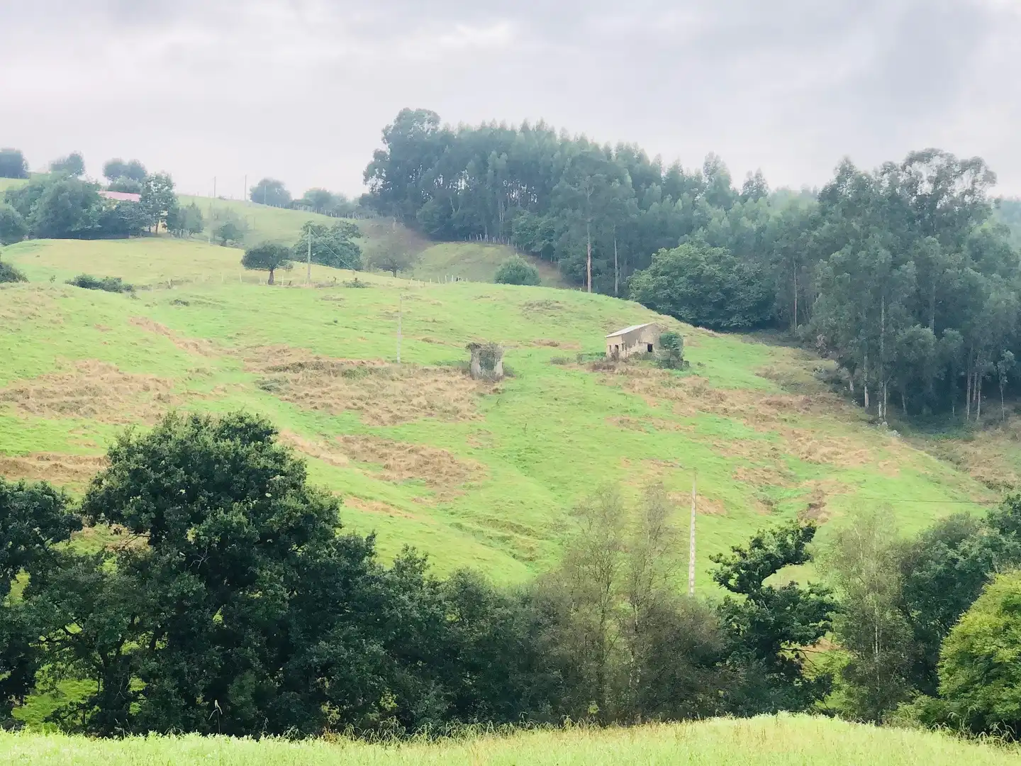 Casa o chalet en venta en Piélagos