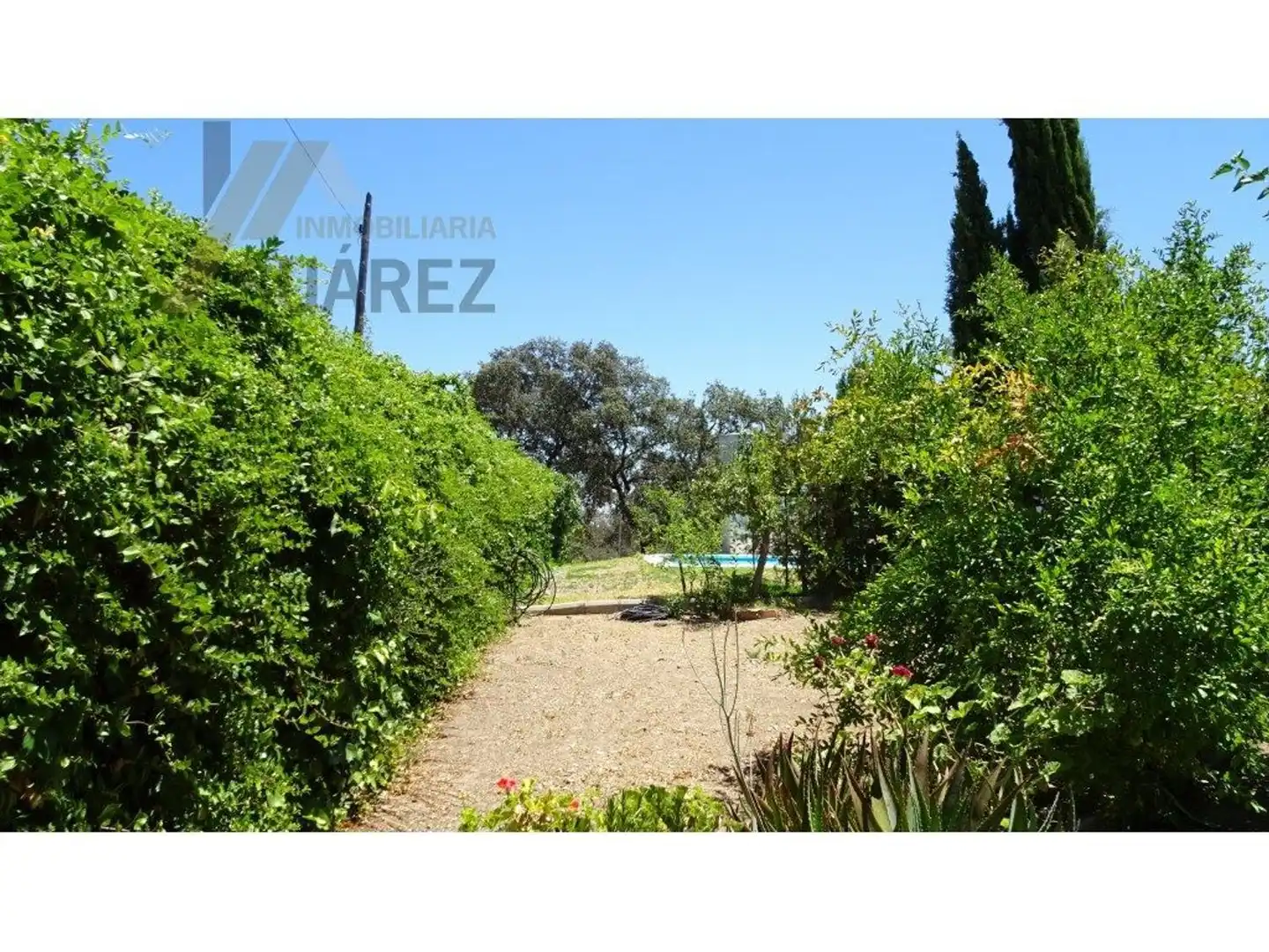 Jardí de Casa o xalet en venda en Castilblanco de los Arroyos
