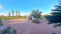 Jardí de Casa o xalet en venda en Alzira amb Terrassa, Piscina i Balcó