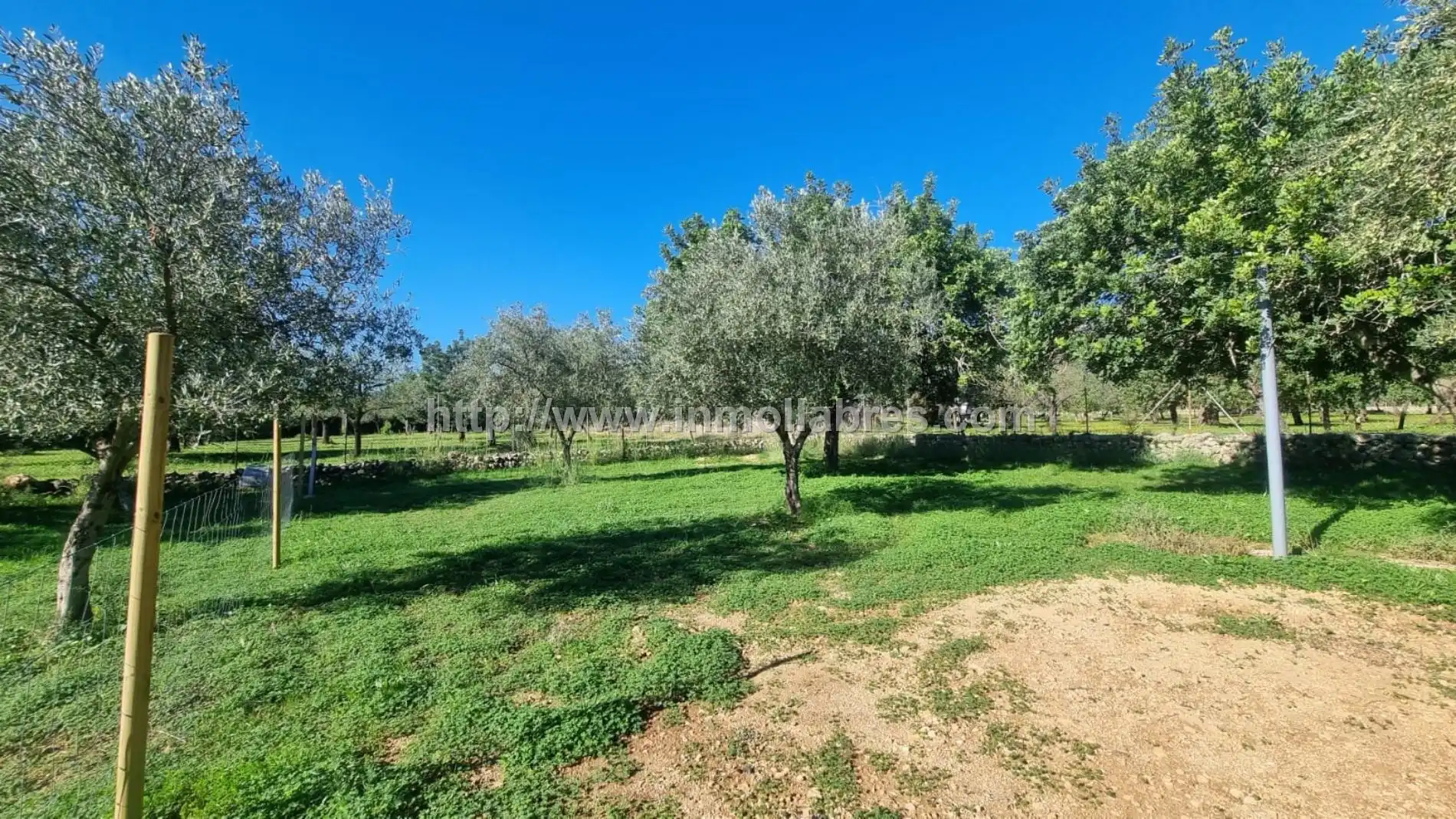 Casa rustica in vendita a Selva, imagen 19