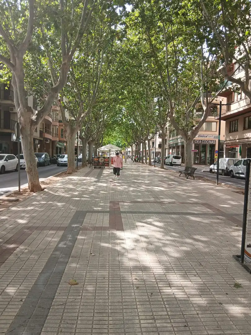 Residential land for sale in Gran Via de Colom