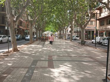 Terrain résidentiel à vendre à Gran Via de Colom