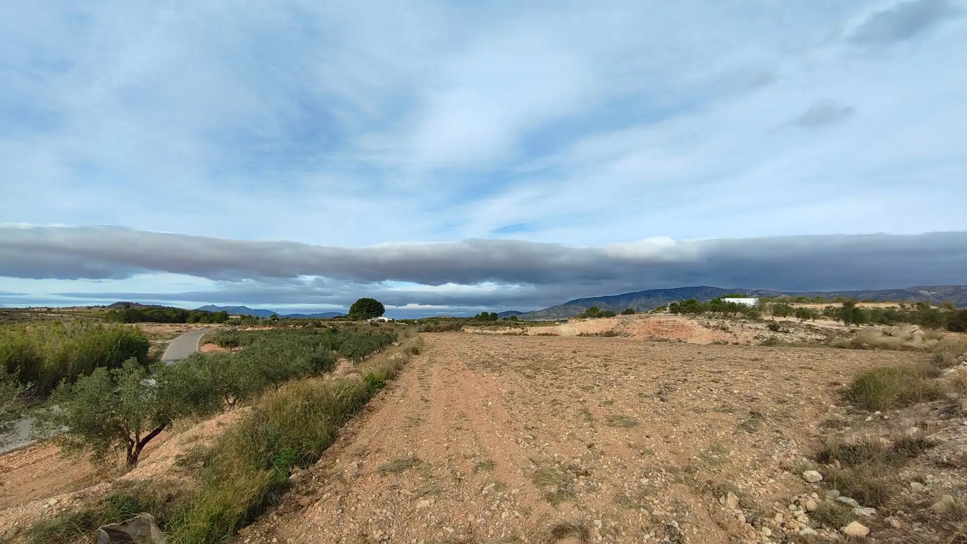 Rural land for sale in Monóvar  / Monòver, imagen 7