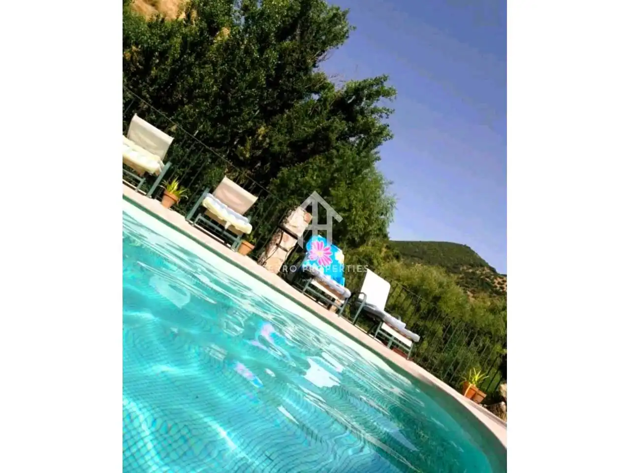 Swimming pool of Country homes for sale in Algarinejo  with Heating, Terrace and Swimming Pool