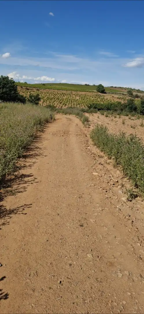 Grundstücke zum Verkauf in Cariñena