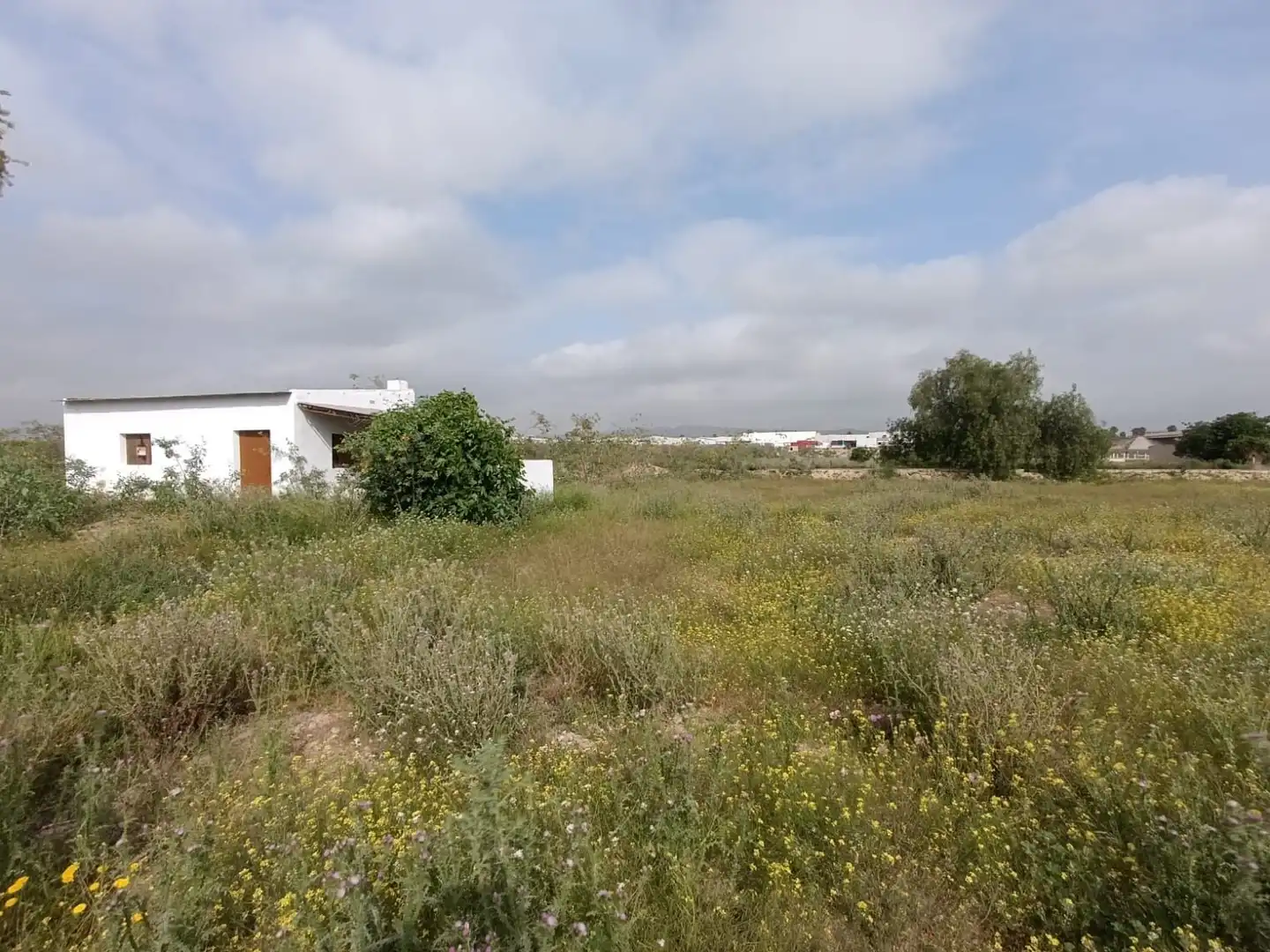Residential for sale in Librilla