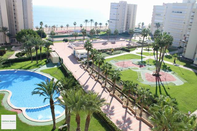 Apartamento en Alquiler en Calle Profesor Rafael Casasemper, 3 en Agua Amarga - Urbanova