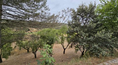 Photo 5 of Country house for sale in Calle Presilla, Orusco de Tajuña, Madrid