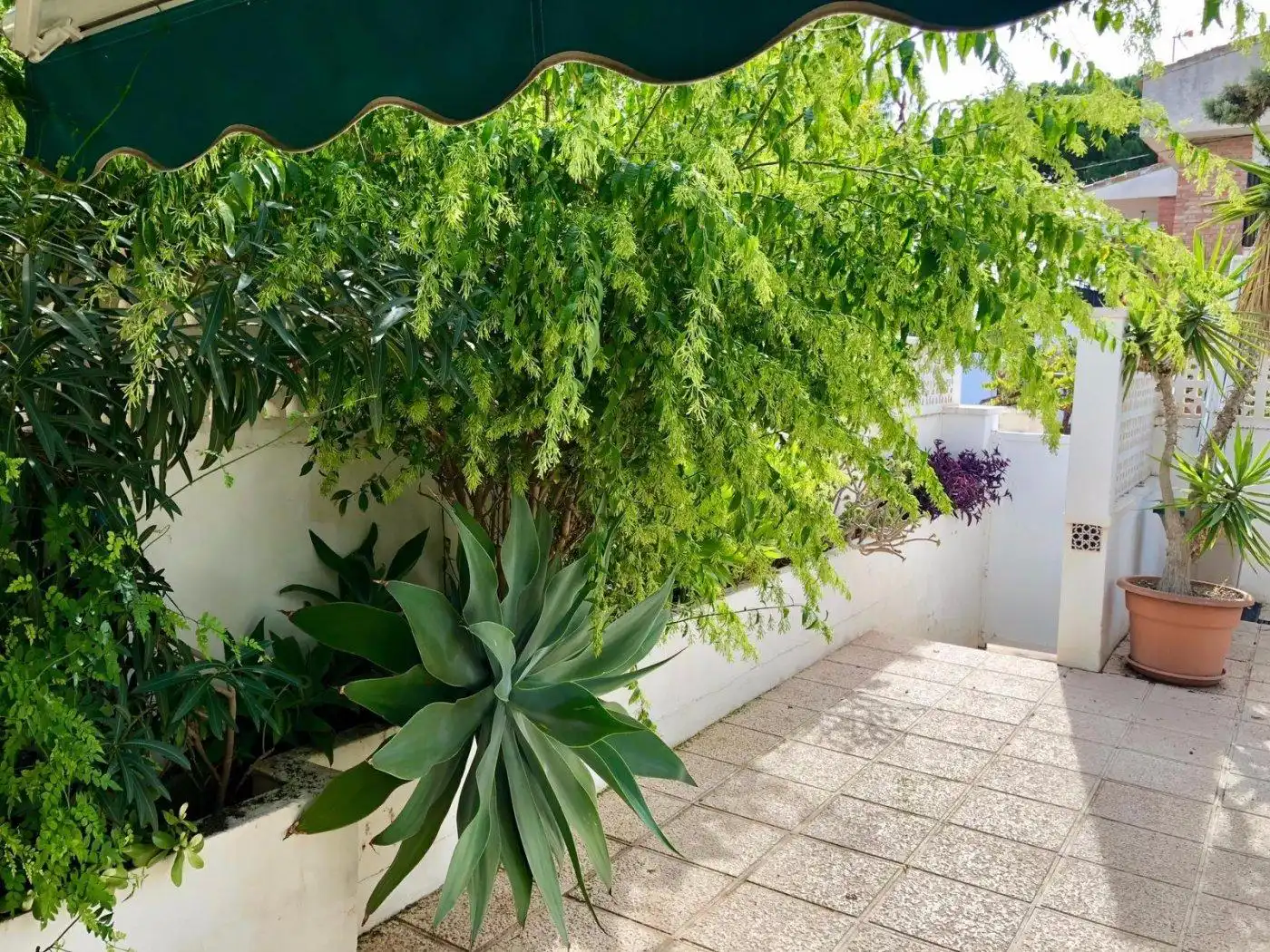 Terraza de Casa adosada en venta en Pilar de la Horadada con Calefacción, Jardín privado y Trastero