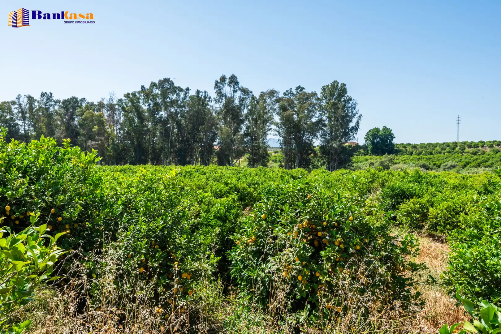 Terreno en venta en Pizarra