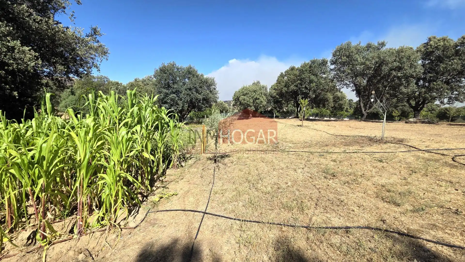Finca rústica en venda en Burgohondo amb Jardí privat, Piscina i Moblat