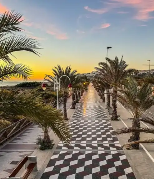 Vista exterior de Planta baja de alquiler en Elche / Elx con Aire acondicionado y Piscina comunitaria