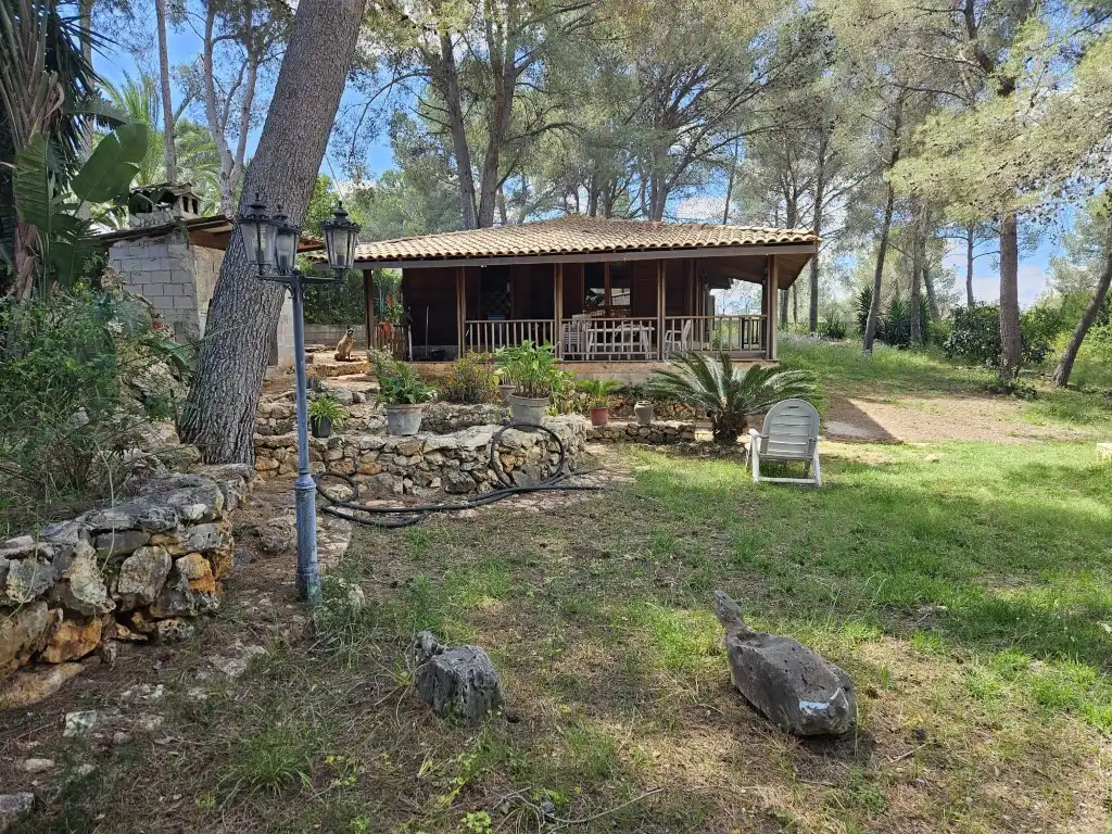 Jardín de Casa o chalet en venta en Alberic con Jardín privado, Terraza y Piscina