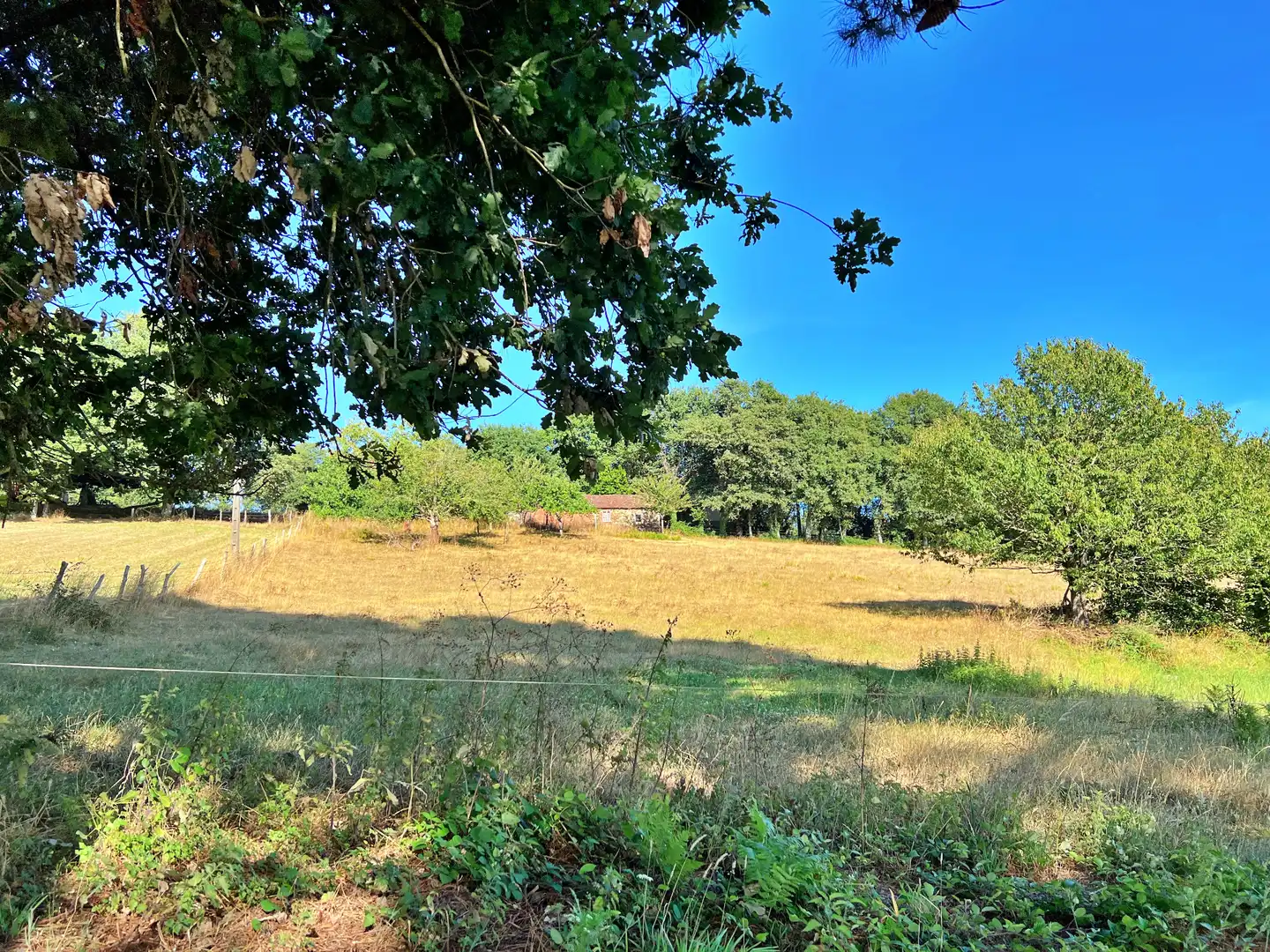 Haus oder Chalet zum Verkauf in O Saviñao 