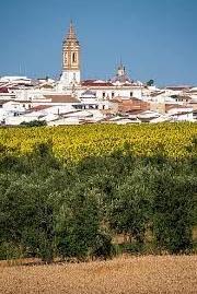 Foto 3 de Piso en venta en Rociana del Condado, Huelva