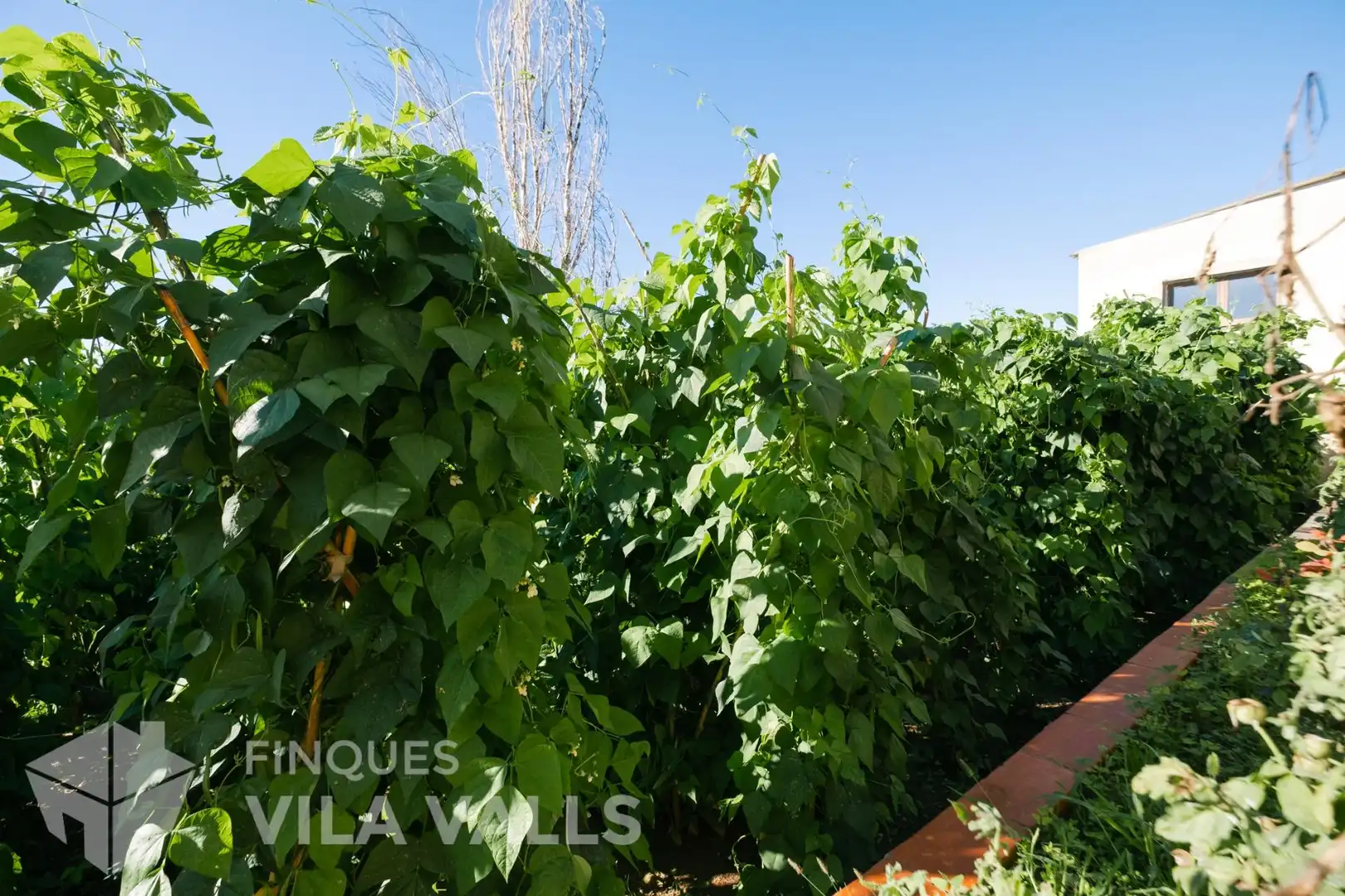 Chalet con jardín en venta en Sant Feliu de Codines, imagen 97