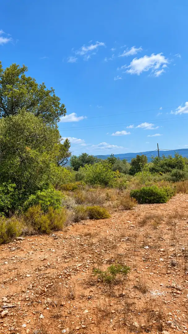Country house for sale in L'Ampolla, imagen 5