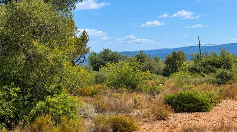 Foto 5 de Finca rústica en venda a L'Ampolla, Tarragona