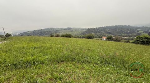 FINCA EDIFICABLE EN TAMON CARREÑO, imagen 3