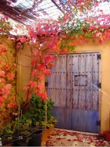 Vista exterior de Casa o chalet en venta en Calera de León con Jardín privado, Terraza y Amueblado