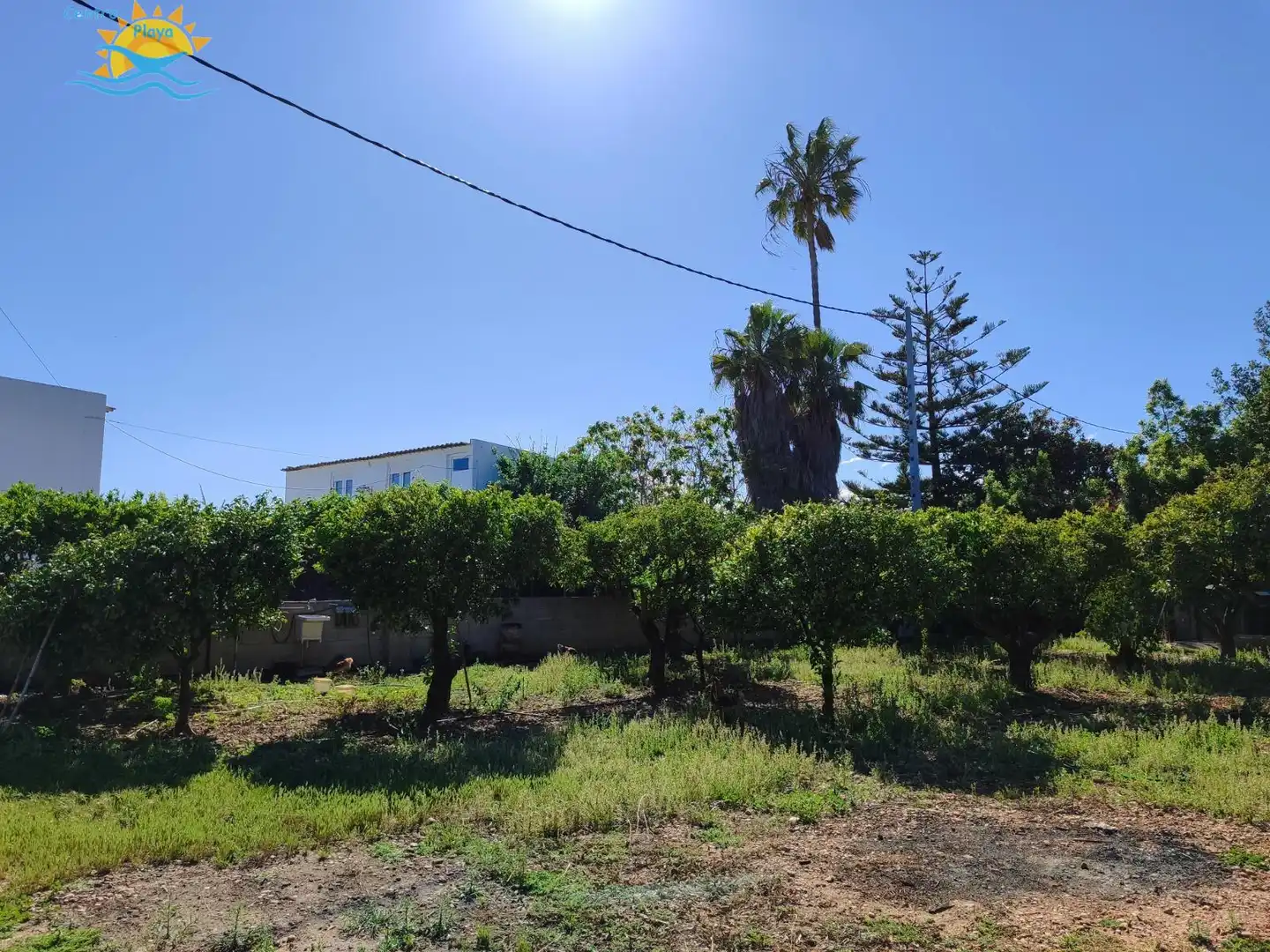 Casa con piscina en venta en Zona Papa Luna - Platja del Gurugú, imagen 3