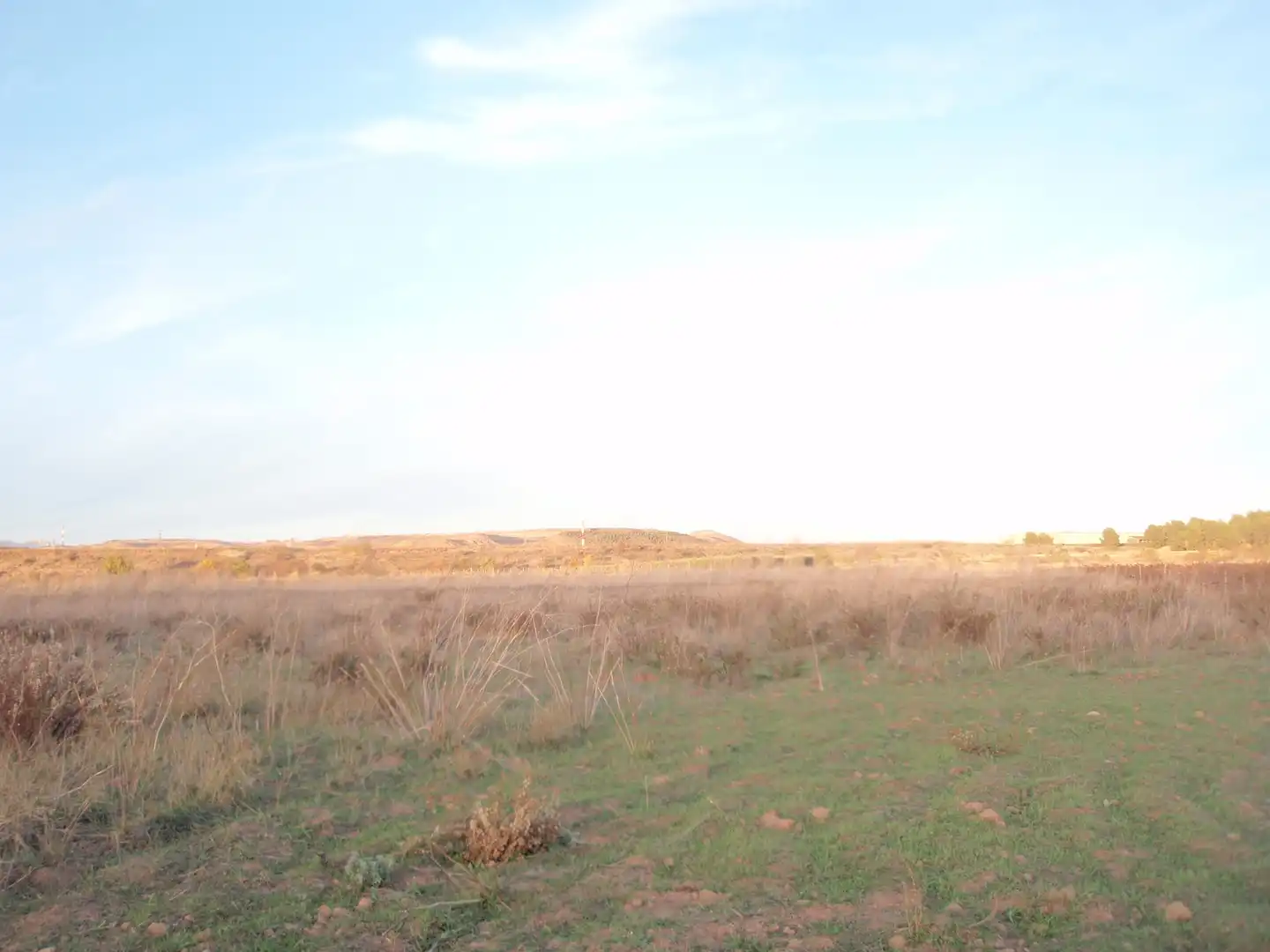 Rural land for sale in Viana, imagen 7