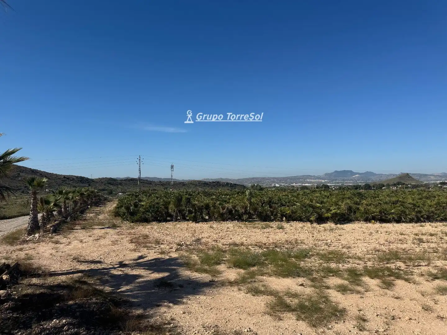 Land for sale in Monforte del Cid