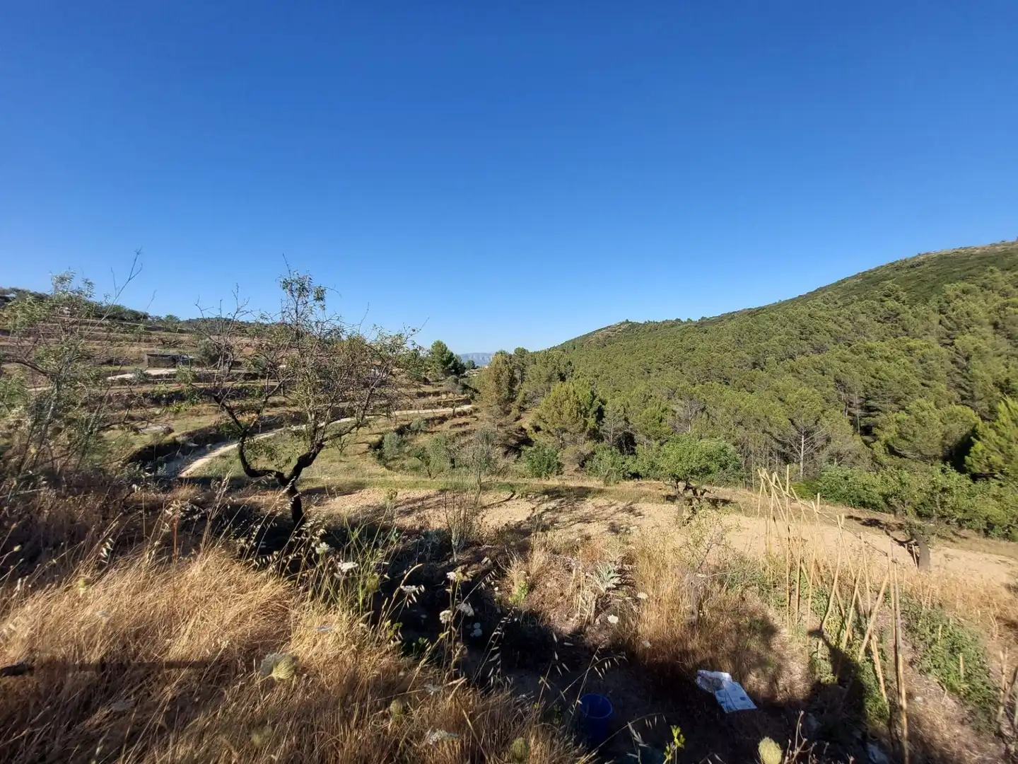 Terrenys i solars en venda a Xaló