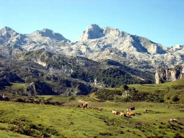 Lands and plots for sale in Mazcuerras, imagen 11