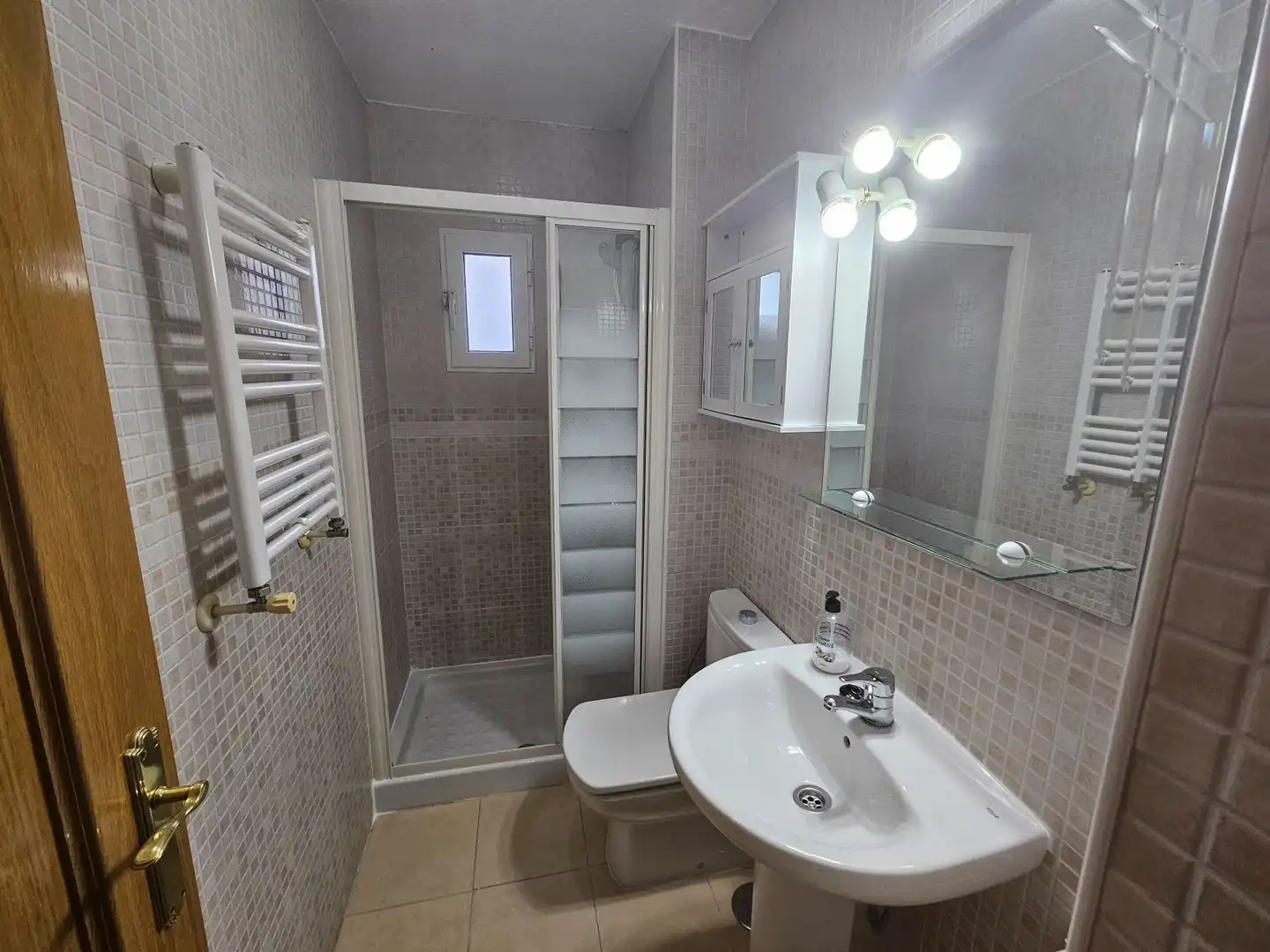 Baño de Piso de alquiler en Fuencarral - El Pardo