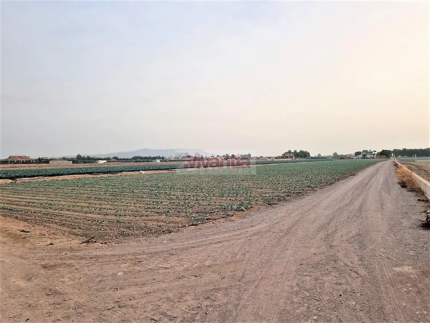 Residential land for sale in Pedanías Centro
