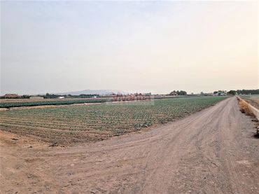 Wohnbaugrundstück zum Verkauf in Pedanías Centro