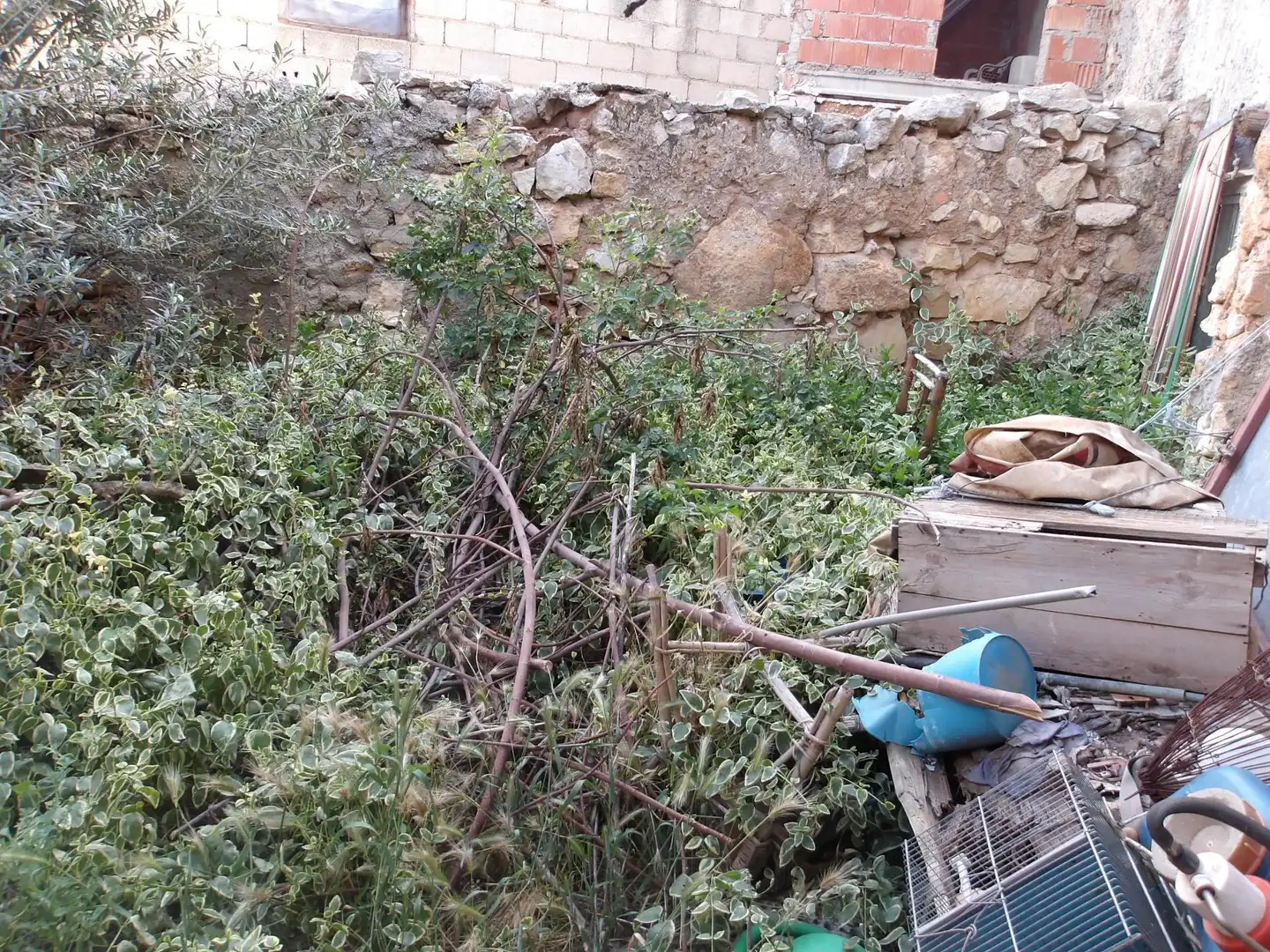 Garden of Country homes for sale in Monreal del Campo