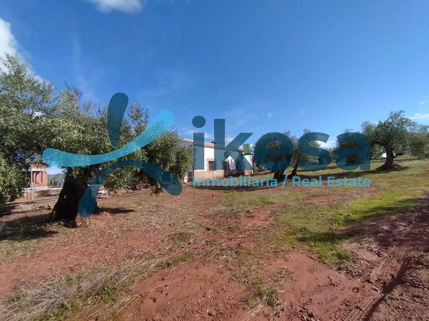 Rustikales Grundstück zum Verkauf in Montoro, imagen 14
