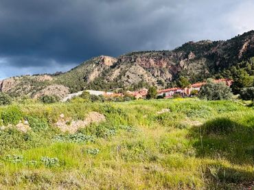 Rural land for sale in Pedanías Este